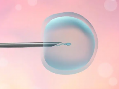 [南京三代试管可以选择性别生女孩吗]_9665H_4RZZ2_2pR42_一对地贫夫妇的健康宝宝