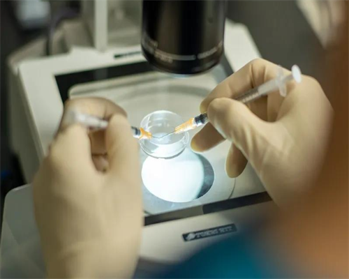 试管婴儿多少钱_三代试管选男孩_试管婴儿为什么龙凤胎多 