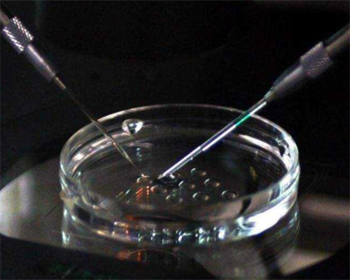 三代试管是所有的精子都筛选吗_试管供卵就选李广生殖中心_拉萨阜康医院试管