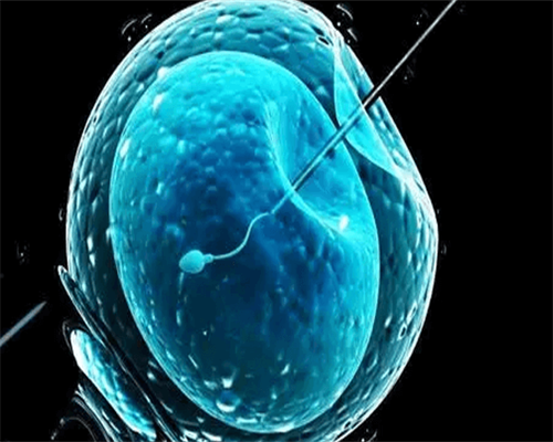 试管婴儿女方取卵视频_第三代试管费用高吗_南阳试管婴儿医院地址去哪找？地