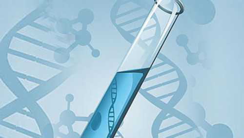 第三代试管婴儿染色体_试管婴儿可以决定男女_45岁做试管成功率有多大？要注