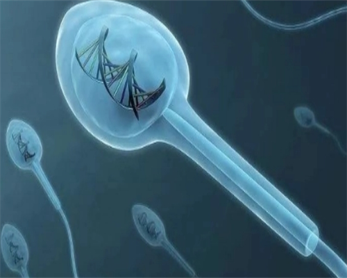 澳门试管婴儿可以选男女吗_中国做试管婴儿可以选择性别吗_新鲜出炉：孕期营