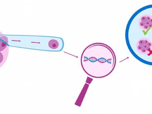 [南京试管做个龙凤胎多少钱]_bC5T9_426ma_地贫基因三项结果怎么看是不是在正常范