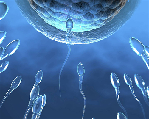 公立医院供卵试管婴儿_做试管婴儿怎么选择医院_实验室管式离心机使用时应注