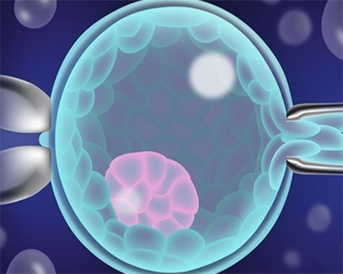 48岁采用供卵试管成功率多少_试管几代可以选择性别_承德市中心医院做试管婴