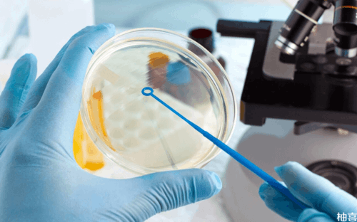 四代哪家医院做试管婴儿好_四代试管婴儿技术泰悦_oMbr7_A218f_477e9_着床成功排出