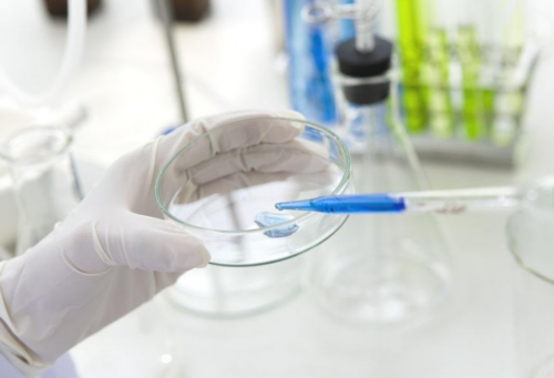 4ab囊胚移植成功率_试管婴儿第几代比较好_试管婴儿取卵痛苦吗 带你了解实情