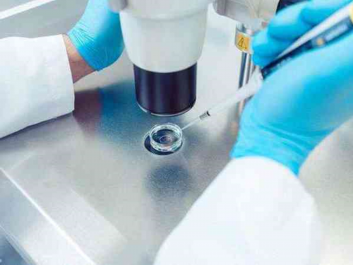 做试管婴儿龙凤胎概率_做试管可以选择男人么_第二代试管婴儿的效果比第一代