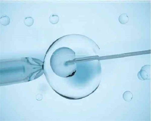 做试管可以做龙凤胎吗?_如何去泰国做试管婴儿好?选择中介吗_非梗阻性无精症