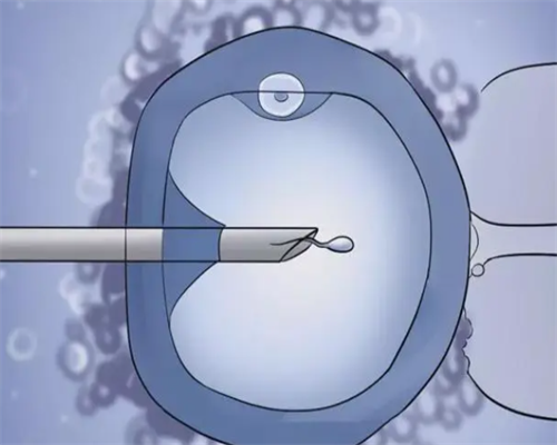 在哪里可以做选择性别的试管_试管性别一般能选择还是随机_7p8s4_试管婴儿胚胎
