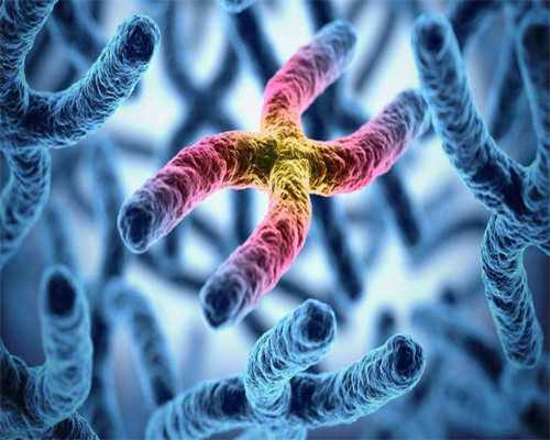 国际试管自助平台_试管婴儿流程_试管婴儿打促排卵针可以同房吗 不要想当然