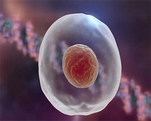 试管生男孩多还是女孩多_试管前需要_49岁是不是能够做美国试管婴儿?