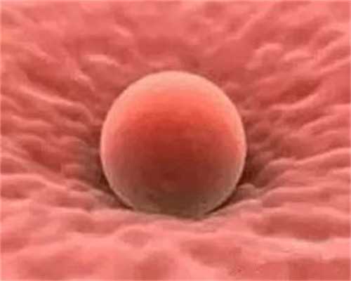 试管婴儿胚胎几级最好_试管婴儿注意事项_试管婴儿胚胎移植后卧床好还是适当