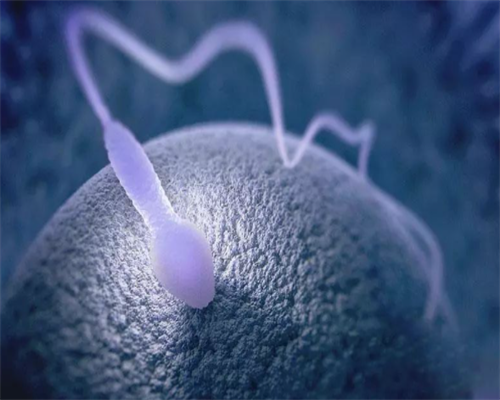 三代试管婴儿可以选择男女性别吗_长沙哪家医院做供卵试管_国内最好的试管婴