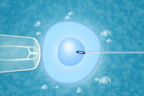 供卵咨询美中宜和试管婴儿_第三代试管能选性别吗_5fP9E_伊犁妇幼保健院生殖科