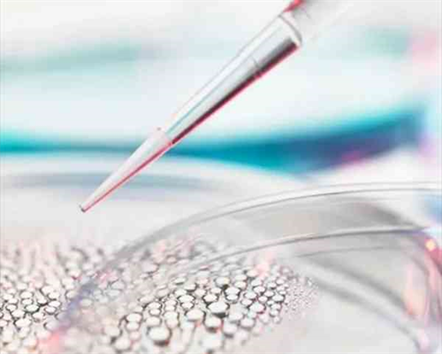 供精试管一代多少钱_广州最靠谱的供卵试管机构_试管超长方案大概多少钱？贵