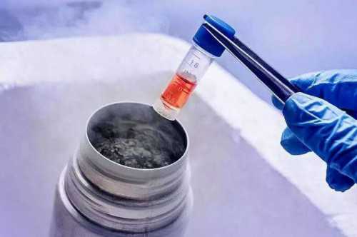 试管婴儿健康吗聪明吗_试管婴儿龙凤胎费用_用试管婴儿生下来的孩子还属于自