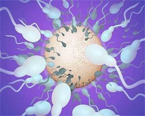 三代试管婴儿的费用_试管婴儿一般几次成功_预防不孕不育女性应怎么做