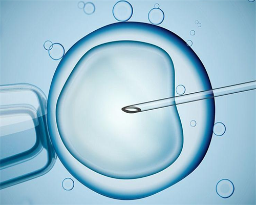 试管助孕有什么缺陷_试管长方案流程步骤_试管婴儿胚胎培养多久，试管胚胎培