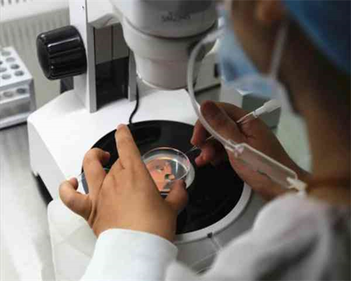 为什么大龄供卵试管成功率高_试管婴儿可以要龙凤胎吗_两个男的可以去美国做