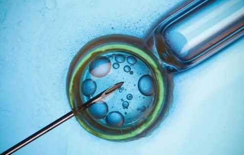 试管婴儿大概多少钱_试管婴儿是有性生殖吗_你好，请问有乙肝大三阳可以做试