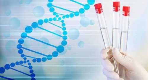 为了生男孩选择试管疼吗_供卵试管多少钱_郑大二附院做试管想生男孩有哪些小