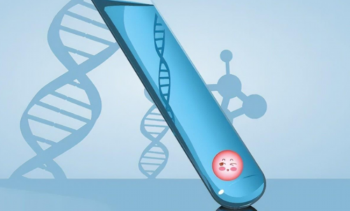 试管配对成功率是多少_三代试管婴儿可以选男孩吗_2026年去俄罗斯做试管婴儿要