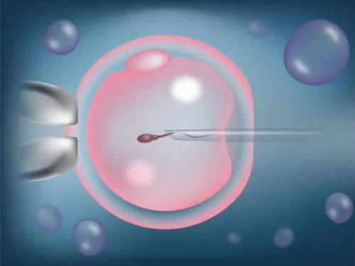 [南京哪里做试管婴儿可以选择性别]_女儿突发白血病，离婚父母违背伦理，为脐