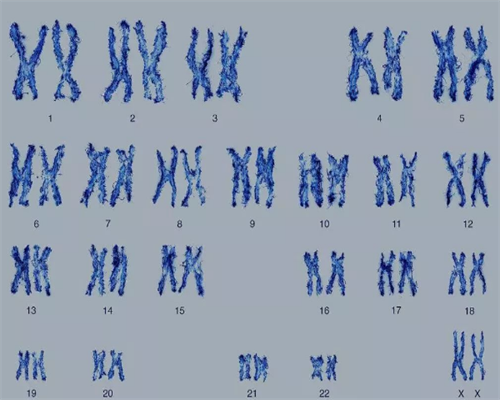 什么时候选择第几代试管_国内试管能选择性别吗_图解试管婴儿花费明细表及试