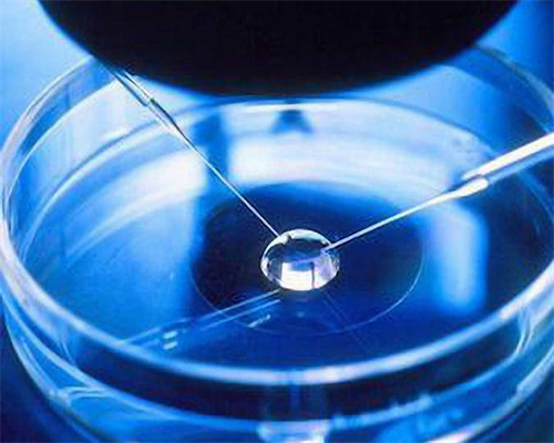 怎么让试管婴儿生女孩_54岁试管婴儿生双胞胎_bN4ar_3m085_68318_输卵管积水回流会