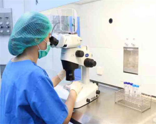 供精试管成功率高吗_国外试管可以选性别吗_中考化学玻璃仪器的洗涤