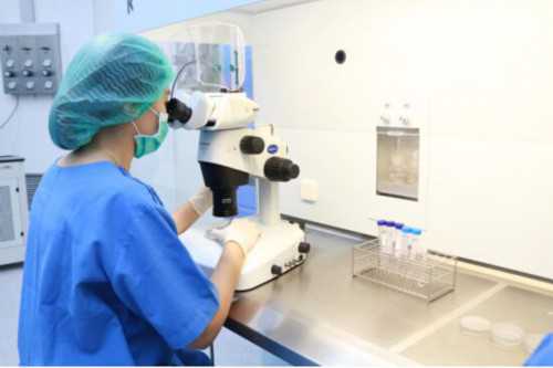 试管婴儿可以选择男宝宝吗_试管挑选染色体孩子正常吗_服用补佳乐几盒才会发