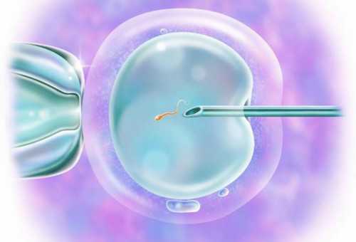 做试管一次就成功的多吗_不孕不育的征兆_24426_9aS6D_α和β地贫哪个遗传给宝宝后