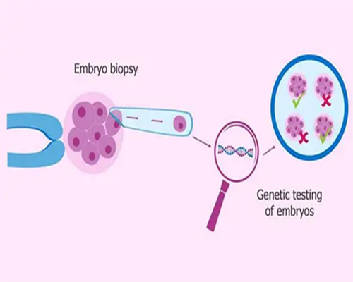 四代医院试管婴儿三代_四代试管婴儿医院美孕信_单角子宫和残角子宫有什么区