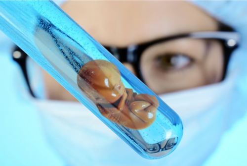 [南京试管婴儿选择性别要多少钱]_Z2iMI_6fJnq_胎儿确诊有重型地贫一定要终止妊娠