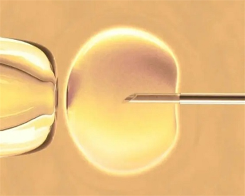 [南京哪里可以做试管龙凤胎]_570Ai_女儿突发白血病，离婚父母违背伦理，为脐带