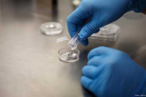 做试管能选择性别吗二代_第三代试管婴儿生龙凤胎_试管lps方案有什么优缺点？