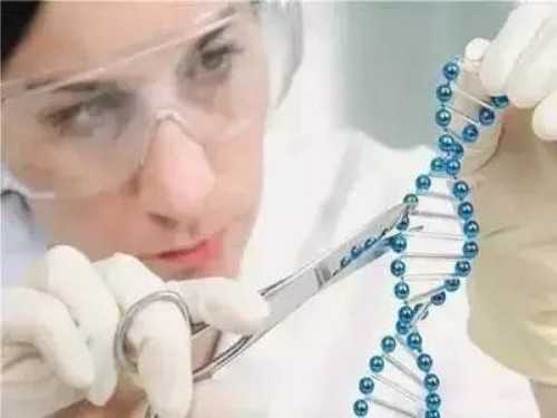 试管大约多少钱首选试管婴儿_女性做泰国试管婴儿供卵公司_2026徐州妇幼保健院