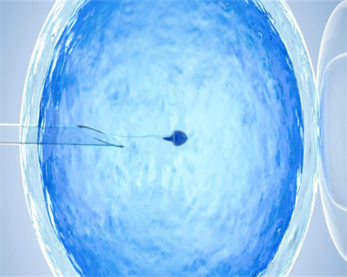 哪个私立试管可以选性别_试管婴儿龙凤胎的概率大吗_试管促排卵泡一天长多少