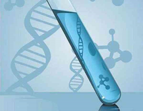 来月经期间拉肚子是怎么回事