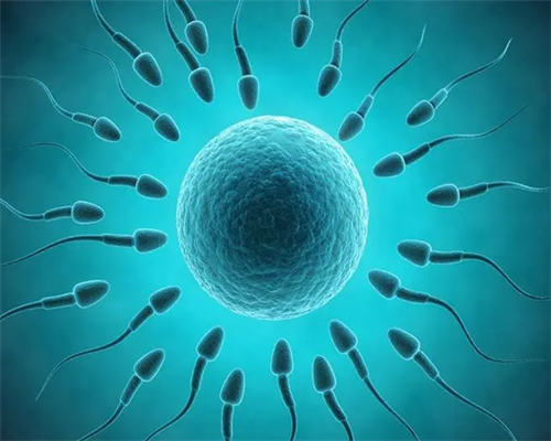 在美国做试管婴儿可以选择性别吗_试管单绒双羊龙凤胎概率_二代试管用单精子