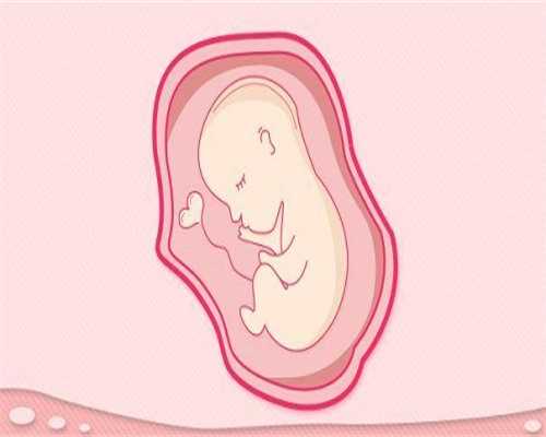 试管婴儿医院医黄浦_第六天囊胚移植成功率_要知道助性和助孕吃什么？这几类