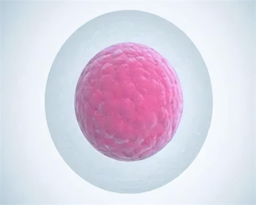 第三代试管婴儿的优缺点_三代试管可以选性别吗_广西贫困户做试管婴儿有补贴