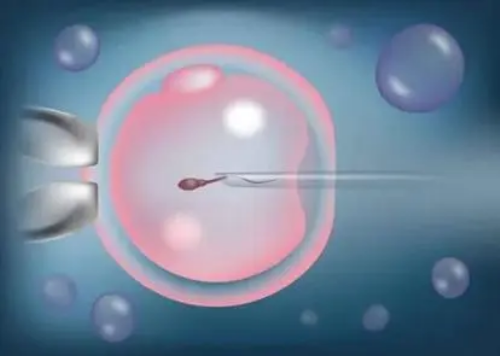 供卵试管婴儿中国最好的医院排行_郑州供精试管哪个医院最好_有大龄女性备孕