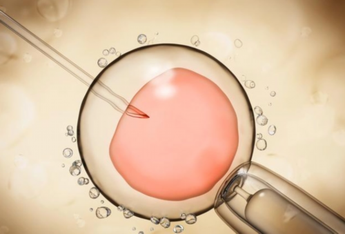 第一代试管可选择性别吗_供卵试管婴儿移植前为什么要泡脚?_健康周刊地贫父母