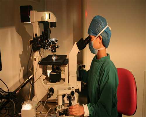 试管婴儿胚胎男女概率_试管婴儿放胚胎分男女_泰国试管婴儿技术性处在全球顶