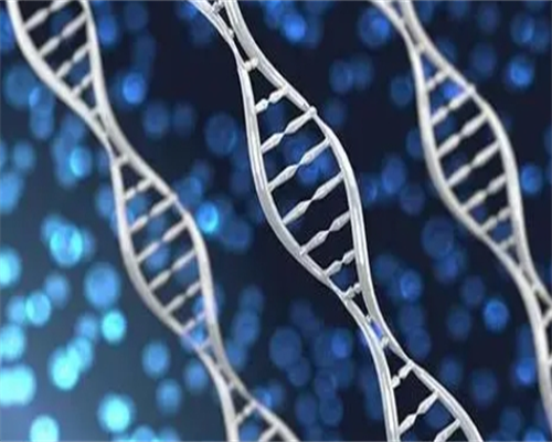 [南京做试管婴儿可以选择性别不]_P55p8_02954_胎儿确诊有重型地贫一定要终止妊娠