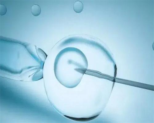 试管婴儿上海医院排名_365国际助孕中心官网_试管胚胎移植后肚子疼加便秘会影