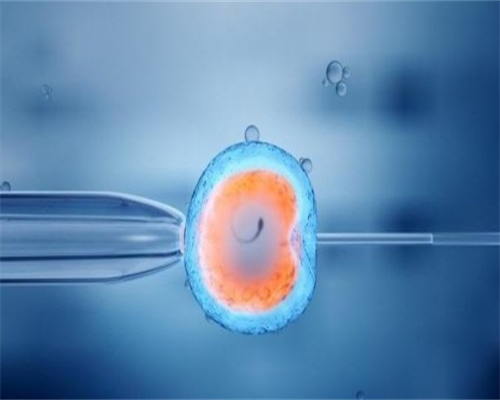 试管婴儿选择性别贵吗_试管婴儿百分百成功吗_保障美国试管婴儿成功的关键：
