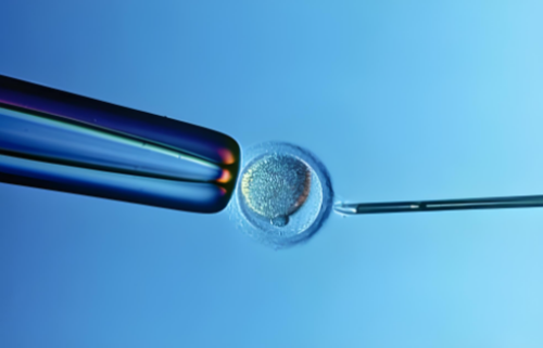 试管双羊双绒是龙凤胎的可能性大吗_做试管能选择男孩女孩吗_试管刷上一圈圈